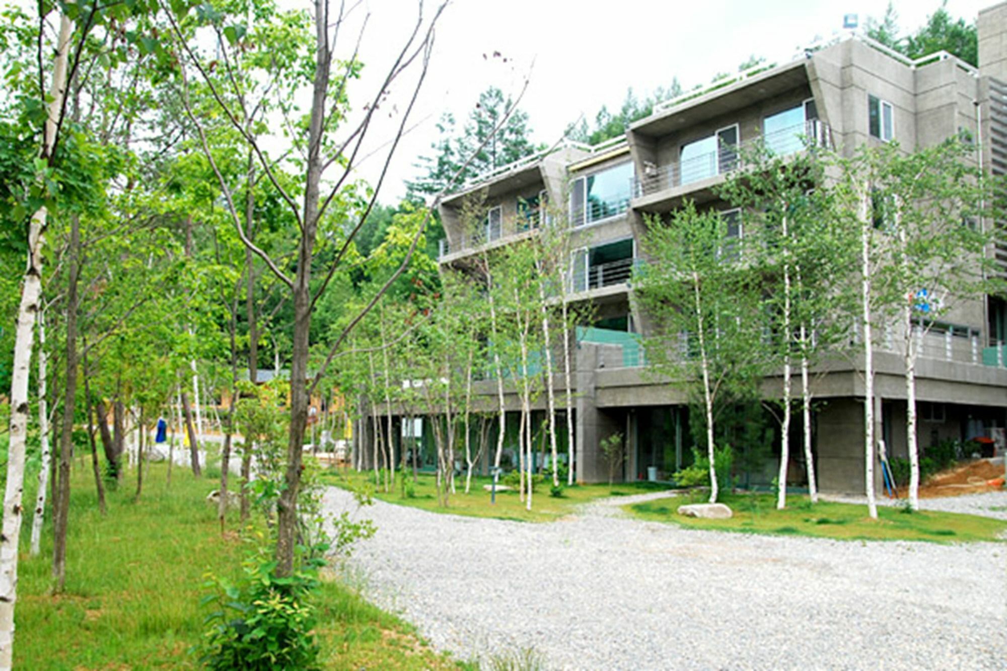 فندق Pyeongchang The Sky Forest المظهر الخارجي الصورة