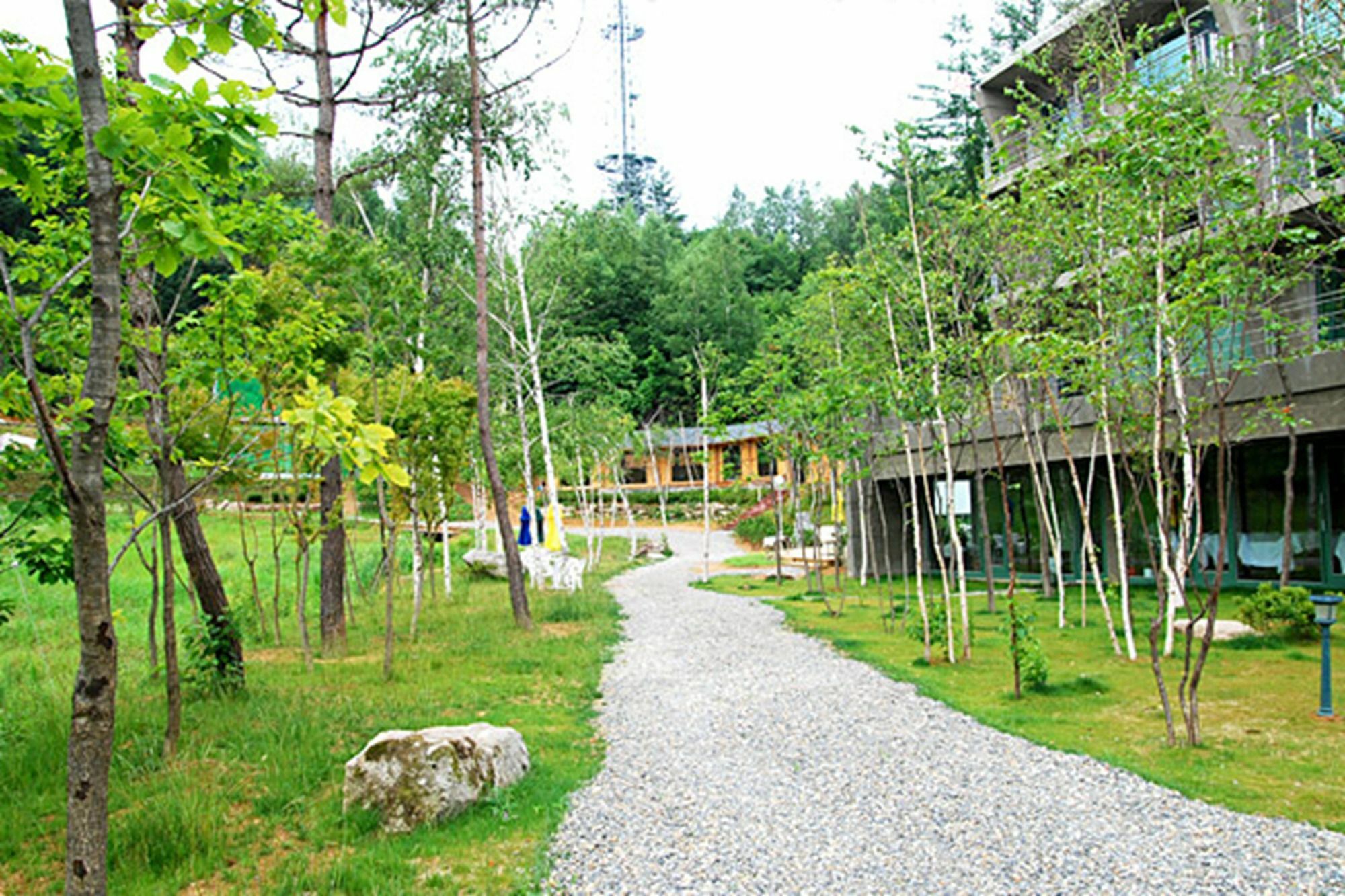 فندق Pyeongchang The Sky Forest المظهر الخارجي الصورة