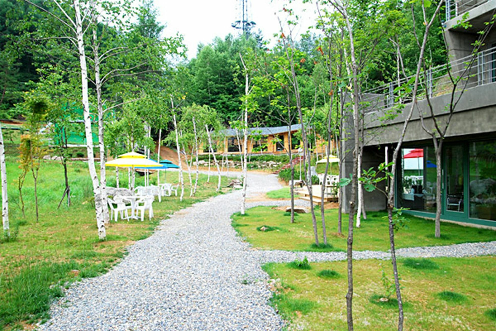 فندق Pyeongchang The Sky Forest المظهر الخارجي الصورة